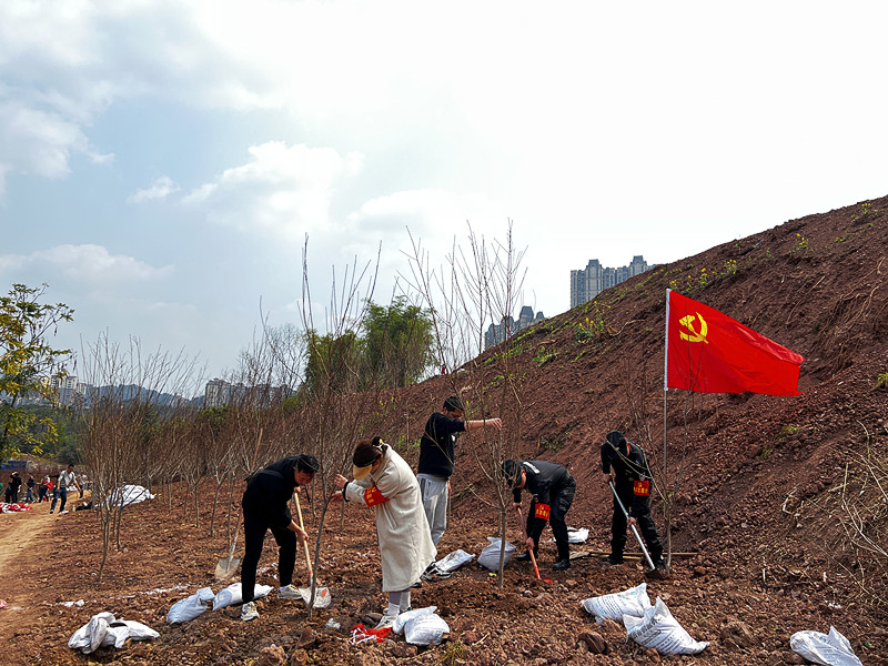 植树活动 (2).JPG