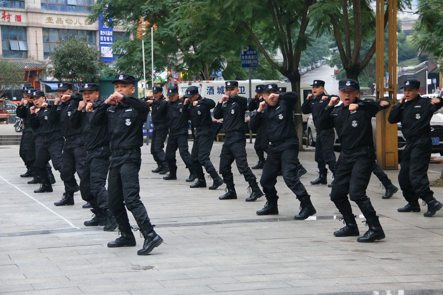 擒敌拳.JPG