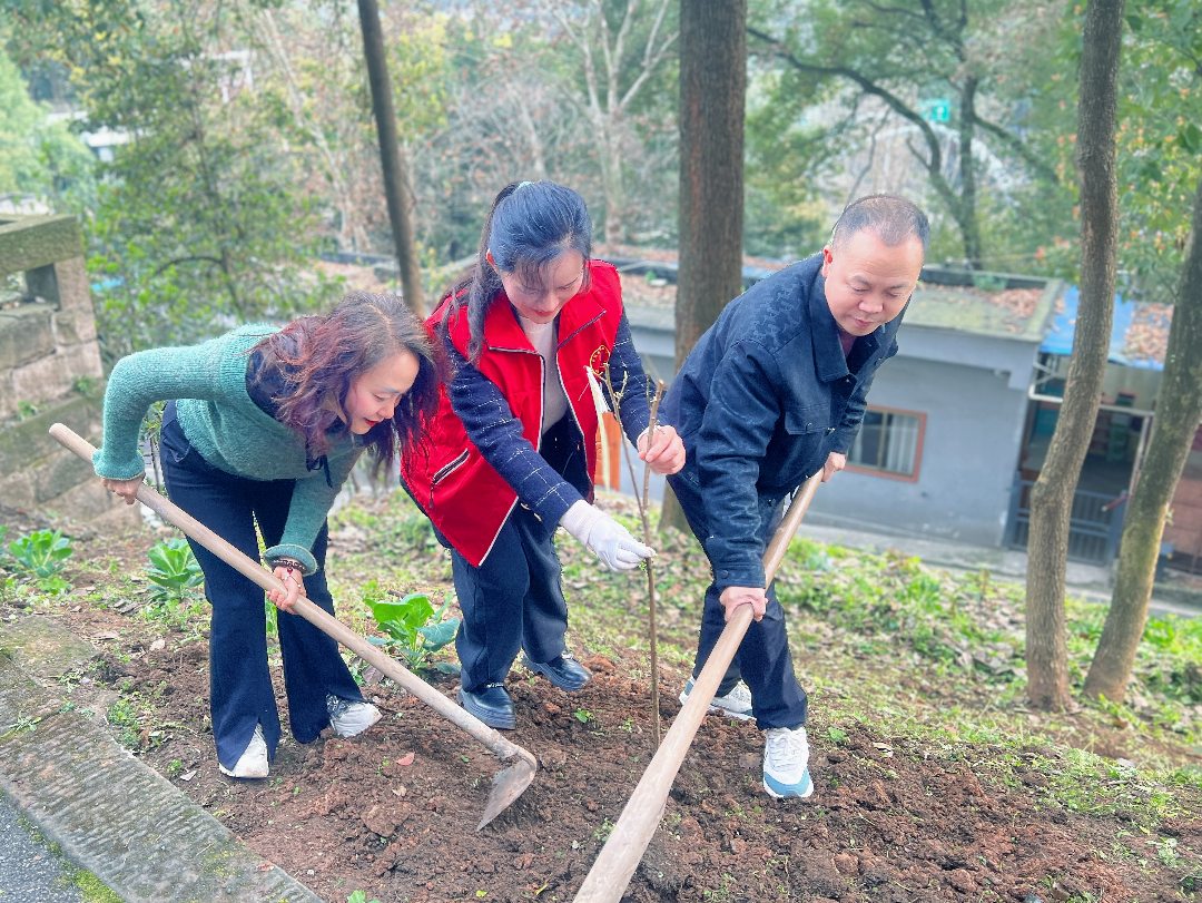 绿化醉美泸州 守护融通家园|机关党支部“3.12植树节”主题党日活动(图5) 配图.jpg