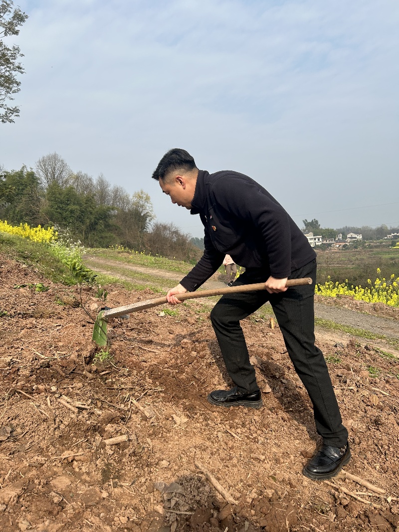 科技安防党支部开展“党建引领添新绿,植此青绿共担当” 主题党日活动(图2) 植树节活动照片2.jpg