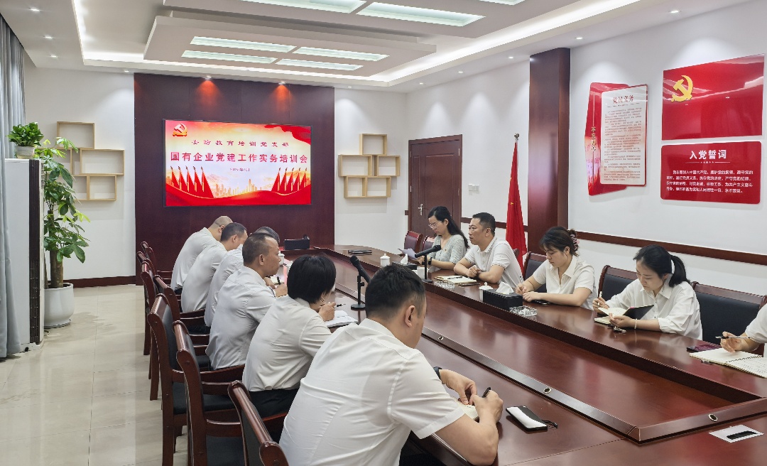 筑牢红色根基 赋能企业发展|安防教育培训党支部开展党建工作实务专项培训(图1) 微信图片_20250515135255.jpg