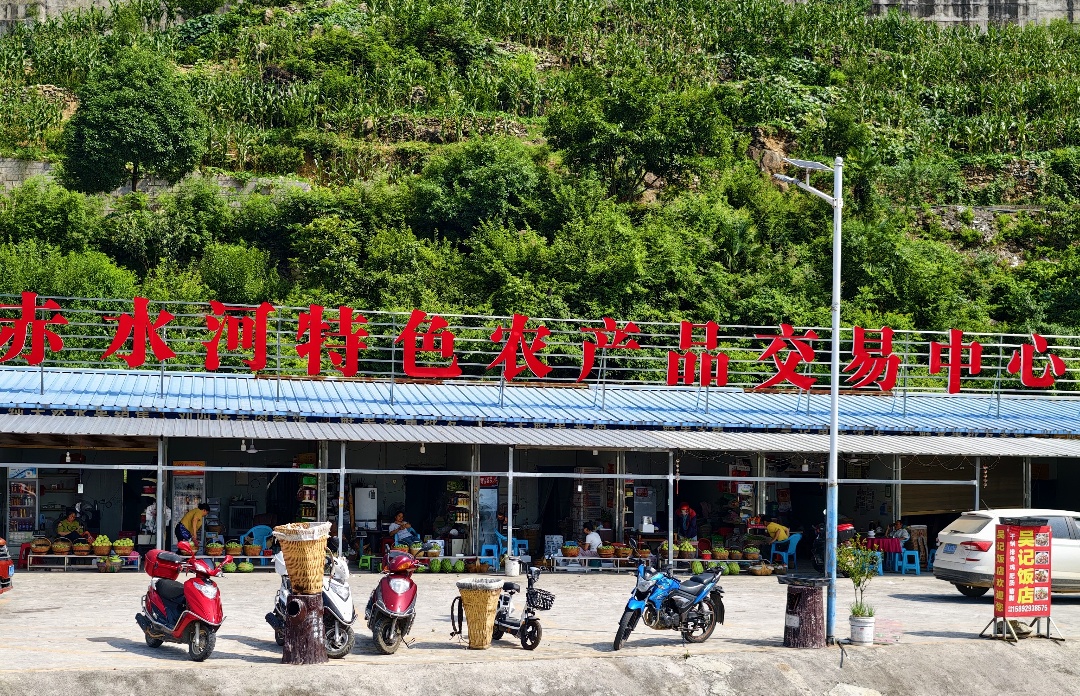 驻村书记陈利:乌蒙山下,用脚步丈量乡村振兴路(图13) 952f9aa272ce98116d20c0d844a263c.jpg