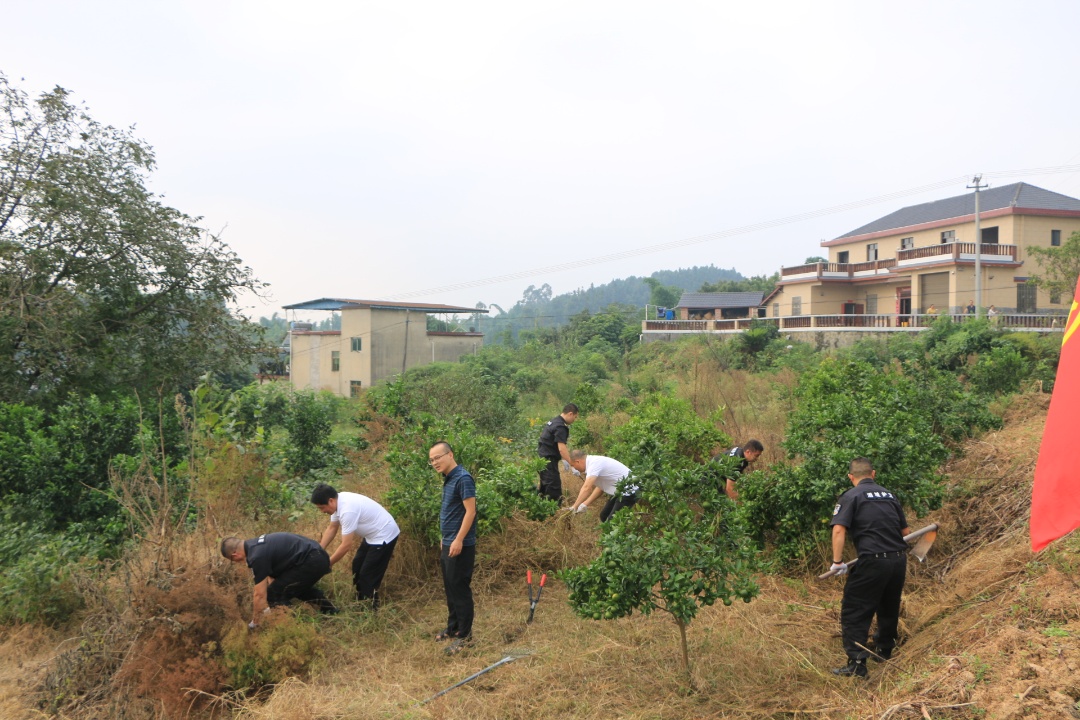 图片2：2025年除草场景.JPG